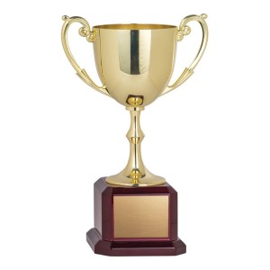 Triumph Cup