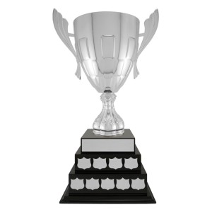 Iron Man Cup