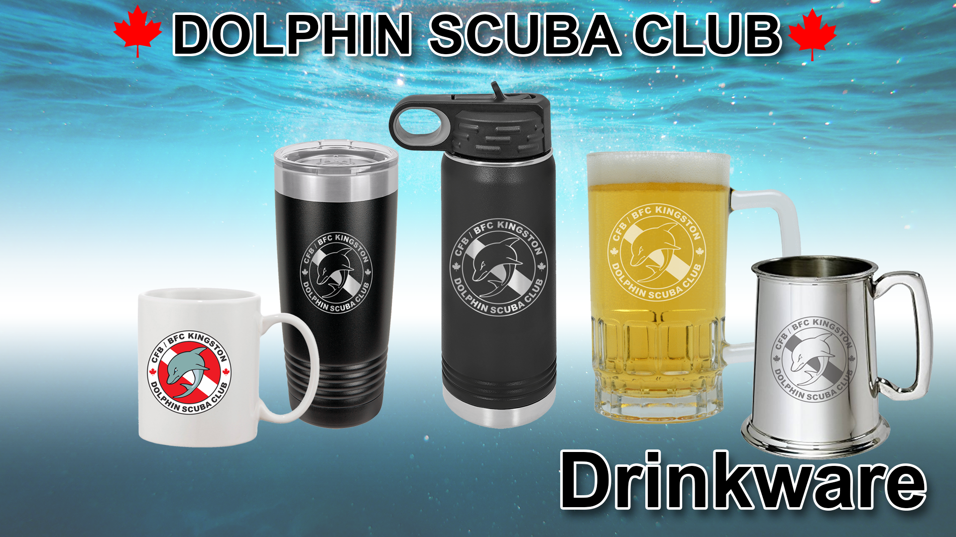 https://specialtytrophies.ca/4g/dolphinscubaclub//store/store_results.php?Category=2&Section=Accessories+