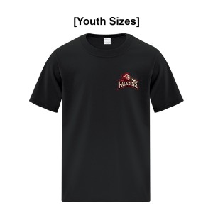 JrPALADINS - ATC Everyday Cotton Youth Tee