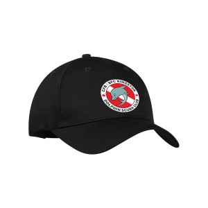 DSC - ATC Everyday Cotton Twill Cap