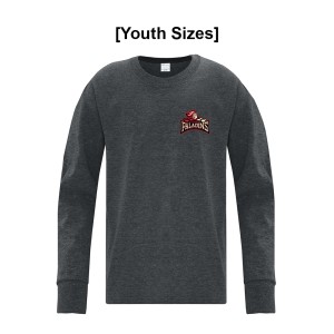 JrPALADINS - ATC Cotton Long Sleeve Youth Tee