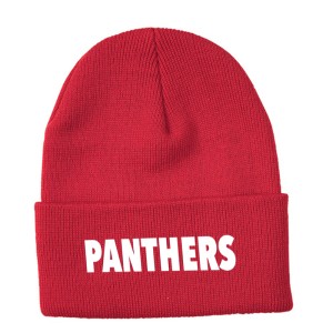 Panthers Hockey - ATC Everyday Knit Cuff Toque