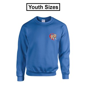 QES - Heavy Blend Crewneck Youth Sweatshirt