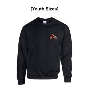 JrPALADINS - Gildan Youth Heavy Blend Fleece Crew