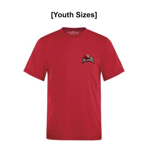 JrPALADINS - Pro Team Short Sleeve Youth Tee