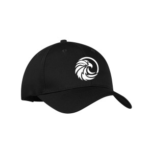ElginburgDPS - ATC Everyday Cotton Twill Cap
