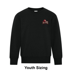 JrPALADINS - Youth Crewneck Sweatshirt