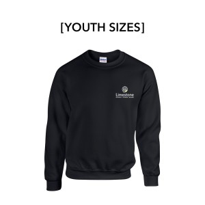 LDSB - Gildan Youth Heavy Blend Fleece Crew