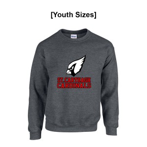 StCarthagh - Gildan Youth Heavy Blend Fleece Crew