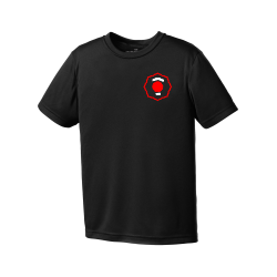 ATC™ PRO TEAM SHORT SLEEVE YOUTH TEE