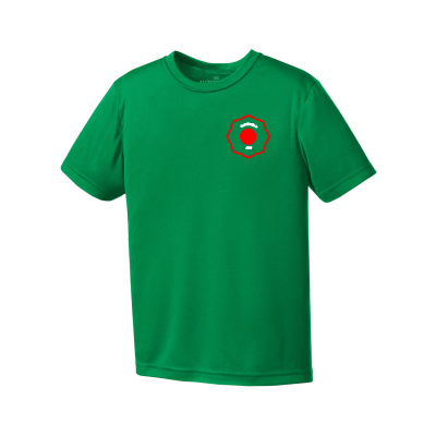 ATC™ PRO TEAM SHORT SLEEVE YOUTH TEE