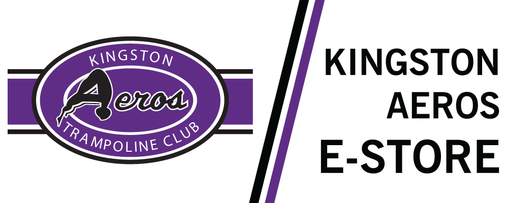 Kingston Aeros