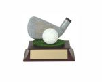 Golf Classic Iron Trophy