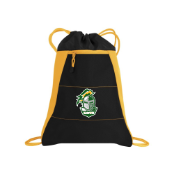 Cinch Bag Black and Gold