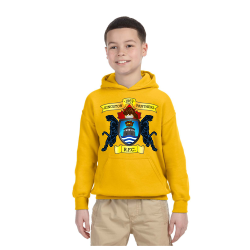 Gold Youth Pullover Hoodie Center