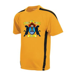 Gold/Black Youth Pro Team Jersey