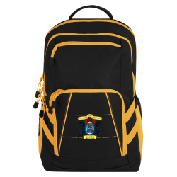 2-Tone Backpack