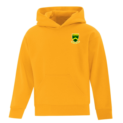 ATC Everyday Fleece Pullover Youth Hoodie - Gold