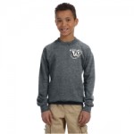 Youth Gildan Cotton Crewneck Sweater
